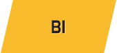 BI